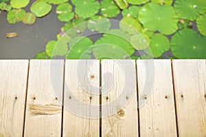 Background with wooden pier and blurred Lotus leaves. Park or Oriental garden.