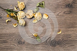 Background wooden with yellow past roses
