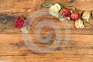 Background wooden with yellow and red withered roses