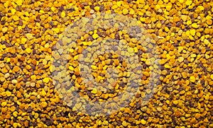 Background of yellow bee pollen
