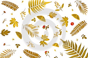 Background by yellow leaves and orange leaves and dry leaves and flower