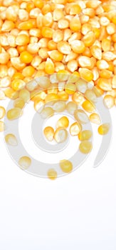 Background of yellow maize corn kernels ready for making popcorn