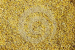 Background-yellow millet croup dish close-up