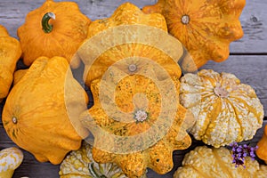 Background of yellow squashes at the outdoor farmers market