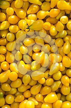 Background of yellow tomato