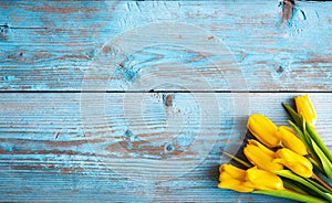 Background with yellow tulips on blue painted old wooden planks.