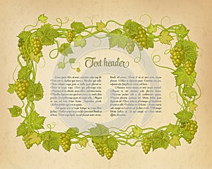 Background for your text with oldest paper and vines in vintage style.