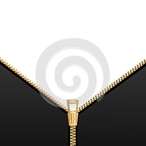 Background with zipper. Vector Image.