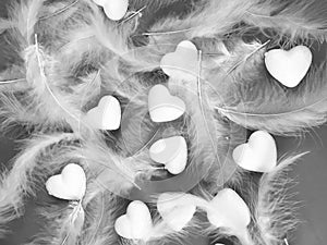 Backgrounds feathers romantic valentines