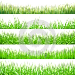 5 Backgrounds Of Green Grass, Isolated On White Background, Vector Illustration