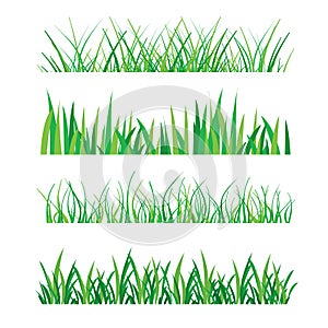 Backgrounds of Green Grass Isolated On White Vector Illustration