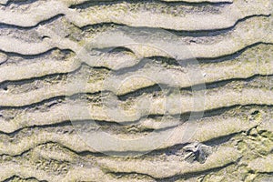 Backgrounds of textured sand