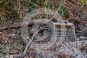 Backhoe bucket beside fallen tree branches on hillside