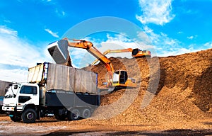 Backhoe standing on big pile of wood chips loading up into truck. Woodchips raw material storing and transportation.