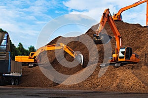 Backhoe standing on big pile of wood chips loading up into truck. Woodchips raw material storing and transportation.