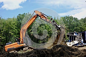 Backhoe at work in a forest