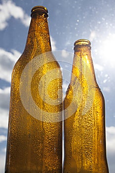 Backlight beer bottles