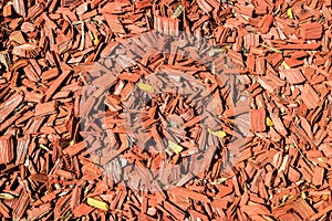 Red bark mulch texture background