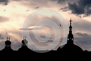 Backlight on the domes of the Hotel Dieu Lyon-France