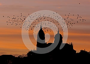 Backlight of a flock of birds on the towers of the cathedral of Salamanca photo