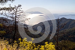 Backlight image from the westcoast of Greek island Rhodes with yellow plants, trees and forest in the foreground and the aegaen