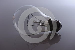 Backlit bulb