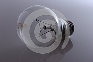 Backlit bulb