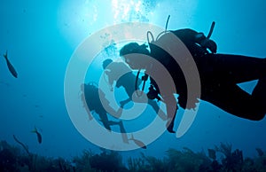 Backlit Divers photo