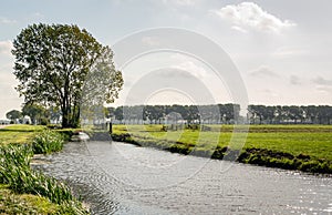 Backlit image of a typical Dutch polder landscape.