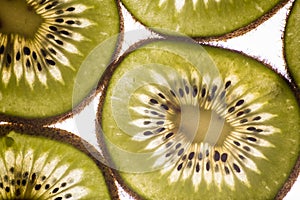 Backlit Kiwi Slices