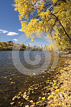 Backlit palmAutumn colors along the Mississippi River, Minneapolis skyline in the distance. trees lining tropical beach