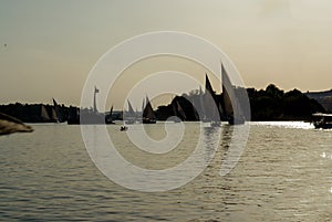 Backlit photo at the sunset of the Nile river near Cairo with silhouettes of the typical sailing boats of the Nile river called