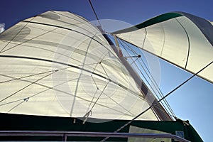 Backlit Sails Unfurled