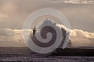 Backlit sea wave splash