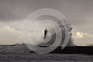 Backlit sea wave splash