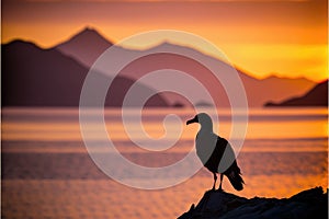 Backlit with a seagull in the foreground and a amazing golden sunset in the background. Generative AI