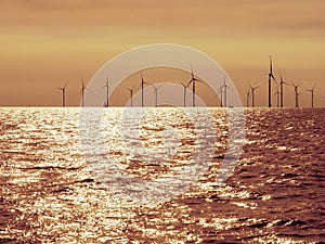 Backlit view of wind farm Fryslan in IJsselmeer lake, Netherlands photo