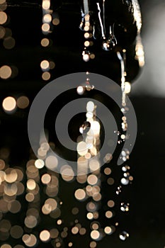 Backlit water drops on dark background