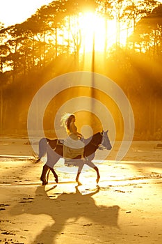 Backlit woman riding horse on beach