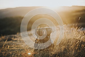 Backpack on the grass in the sun