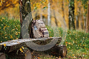 Backpack on wooden log bench in autumn forest