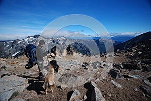 Backpacker and a dog in the outdoors