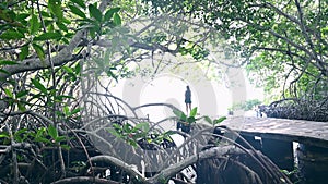 Backpacker girl ventures into the tropical jungle among mangroves