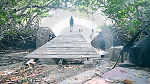 Backpacker girl ventures into the tropical jungle among mangroves