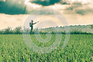 Backpacker makes selfie among rice fields on a cloudy day. retro toning colors photo