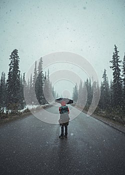 Backpacker man with umbrella standing in blizzard on the road in pine forest