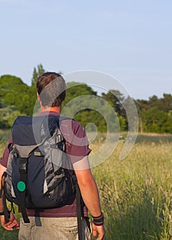 Backpacker in sunny field photo