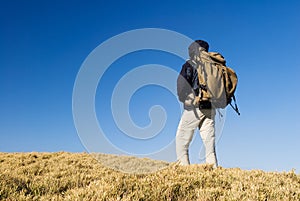 A backpacker walk on a yellow grassland in mountai