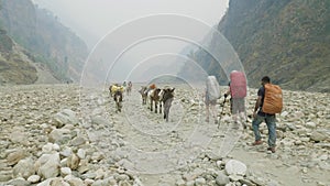 Backpackers with guide walk on the Manaslu mountain circuit trek in Nepal.