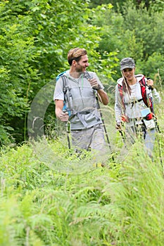 Backpackers on hiking journey walking in forest